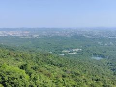 -紫金山山顶公园