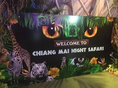 -清迈夜间动物园