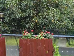 -浦江二号·独栋江景餐厅(滨江大道店)