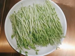 -洪氏嗨捞·广东猪肚鸡·椰子鸡火锅(西咸万象城店)