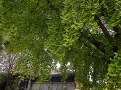 -北京石刻艺术博物馆(五塔寺)