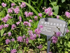 -国家植物园