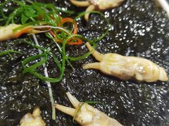 紫菜虾米-小莆天(元帅路店)