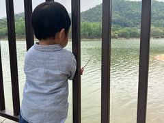 -凤岗南门山森林公园