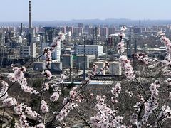 -白水寺森林公园