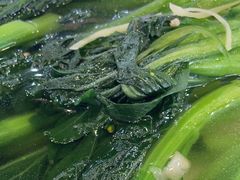 -绿雅居原生态农庄(小涌店)