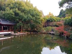 -汇龙潭