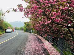 -四明山国家森林公园