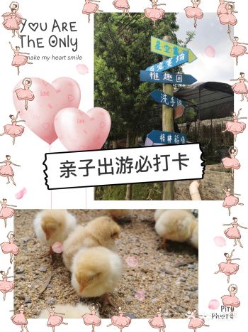 夏日亲子出游｜一定要打卡的一家儿童农场乐园！！