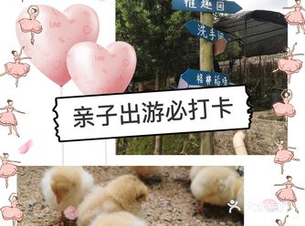 夏日亲子出游｜一定要打卡的一家儿童农场乐园！！