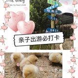夏日亲子出游｜一定要打卡的一家儿童农场乐园！！