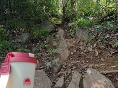 -杭州半山国家森林公园