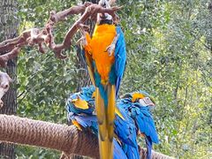 -北京野生动物园