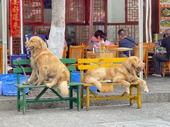 -八木轩·寻味大理白族民俗餐厅(文献路店)