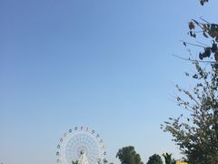 -金卉庄园