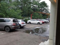 -蓝天国际游泳培训基地(华腾园店)