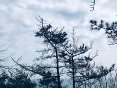 -燕窝岭