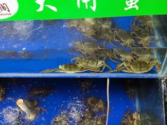 -阳澄湖大闸蟹·琼灵阁牌品牌连锁(吴中总店)