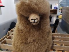 -DK45丹麦家居生活馆·依诺维绅(798店)