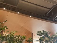 -gaga(深圳福田星河COCO Park店)