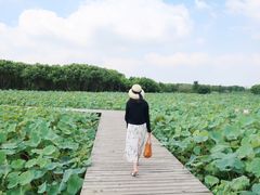 -梁鸿国家湿地公园