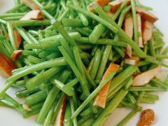 鲜芦蒿炒香干-禧福楼·十五年老店(科技城店)