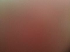 -欢乐牧人蒙古炭烤羊腿(四平路店)