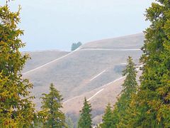 -新疆那拉提国家旅游度假区