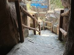 -游龙石文化科普馆