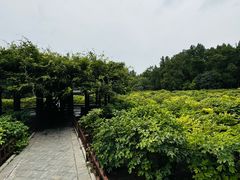 -晋祠公园