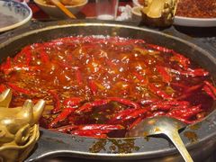 -蜀大侠火锅(总府路店)