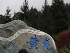 -黄龙山原始森林景区