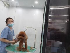 -博特宠物医院24h犬猫全科.骨科·异宠