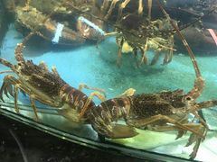 -大洋海鲜居·海鲜特色菜(墟沟海鲜美食城店)
