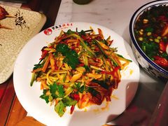 红油耳丝-贺秦生陕面王(富力城店)