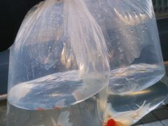 -华声天桥民俗文化园