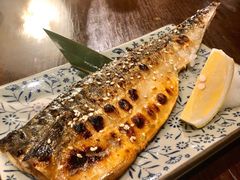 烤青花鱼-串鑫