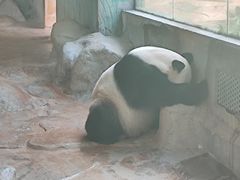 -海南热带野生动植物园