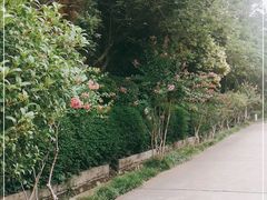 -幕燕滨江·长江观音景区