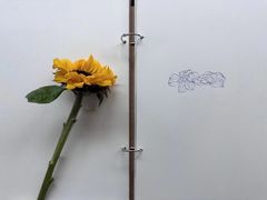 -八哥美术·成人美术画室(总校区)