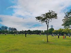 -凤岭儿童公园