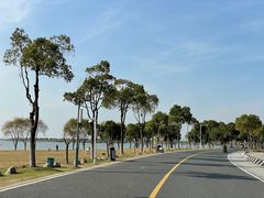 -漕湖湿地公园