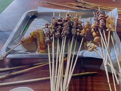 -劳动公园新疆人烤腰子