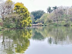 -海珠湖公园
