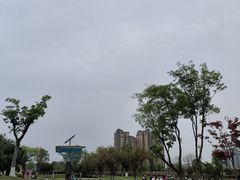 -府河摄影公园