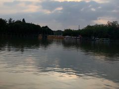 -海上田园