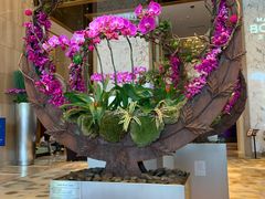 -粤海喜来登酒店·&More聚驿(天河城店)