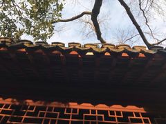 -秋霞圃
