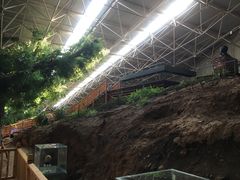 -中国第四纪冰川遗迹陈列馆