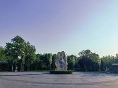 -绿堤公园